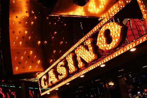 Wild Coaster live dealer studio with multi-camera setup and professional dealer at blackjack table